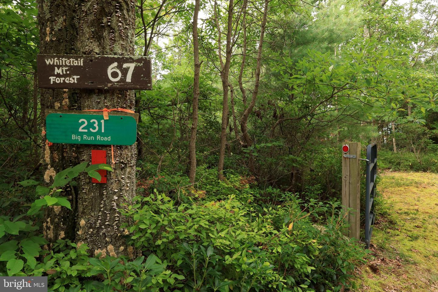 231 Big Run Rd Property Photo 50