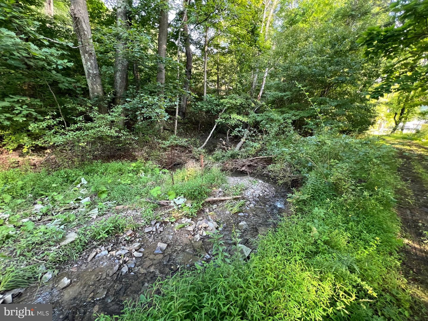 161 Stoney Creek Run Property Photo 8