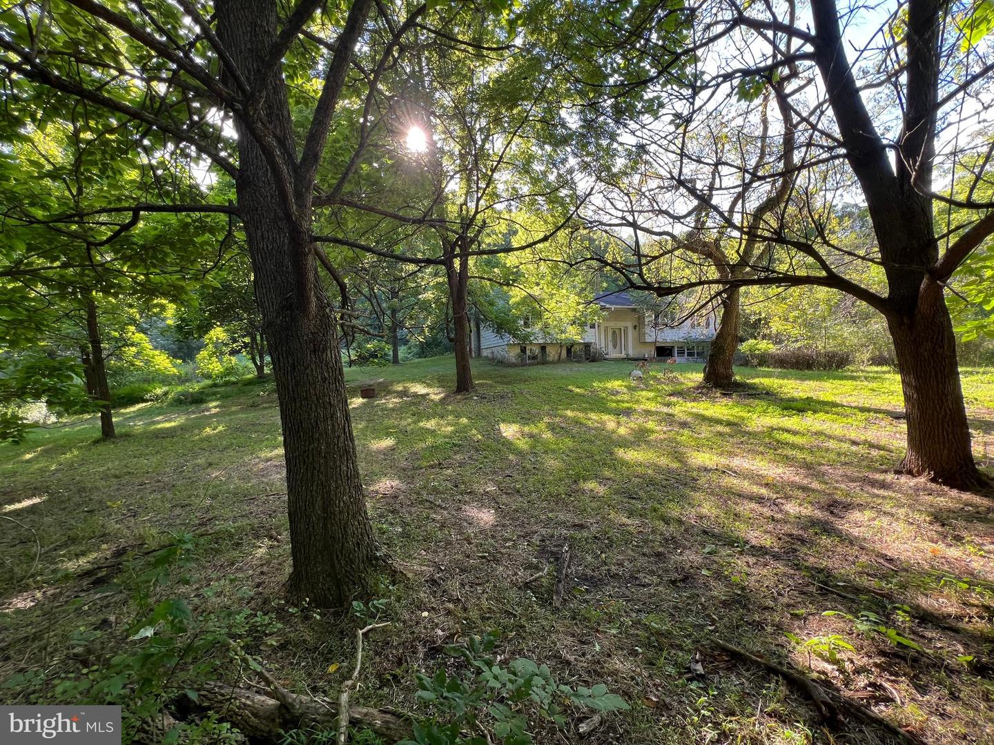 161 Stoney Creek Run Property Photo 9