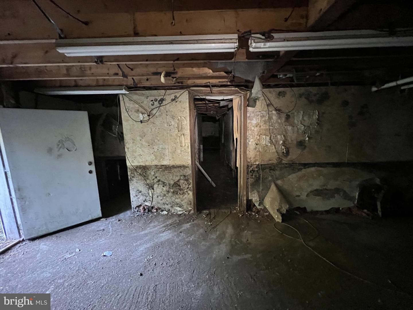 161 Stoney Creek Run Property Photo 15