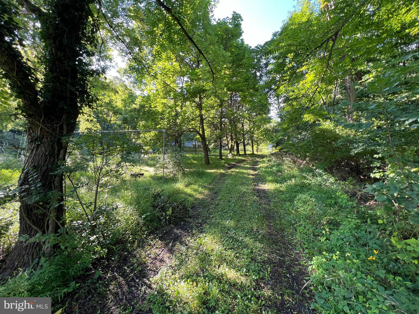 161 Stoney Creek Run Property Photo 31