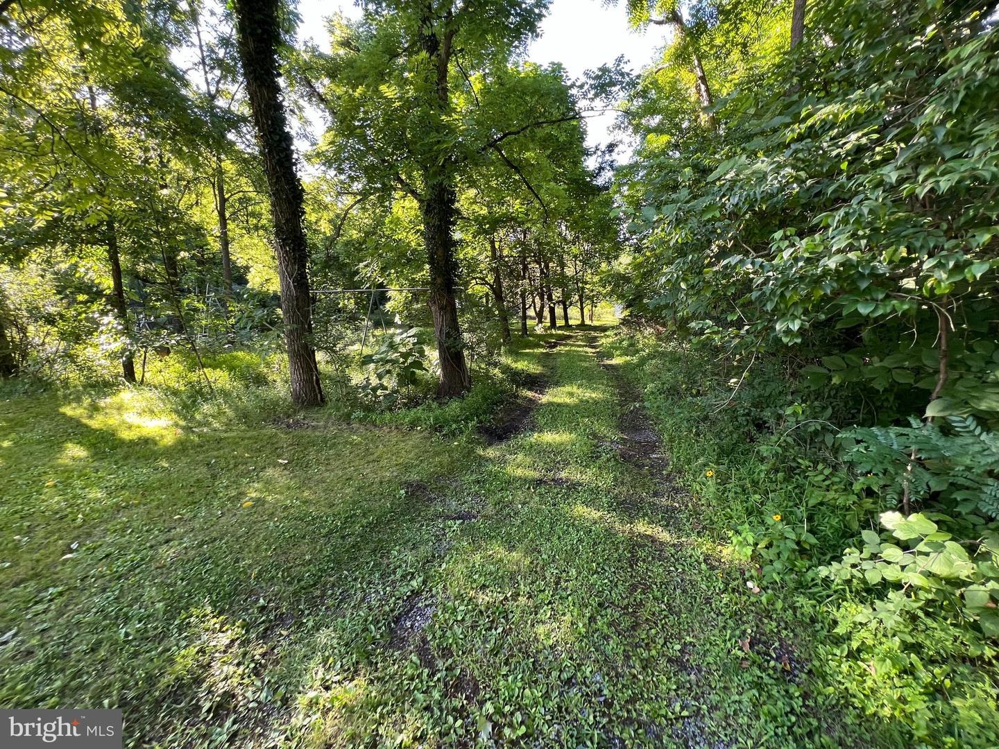 161 Stoney Creek Run Property Photo 32