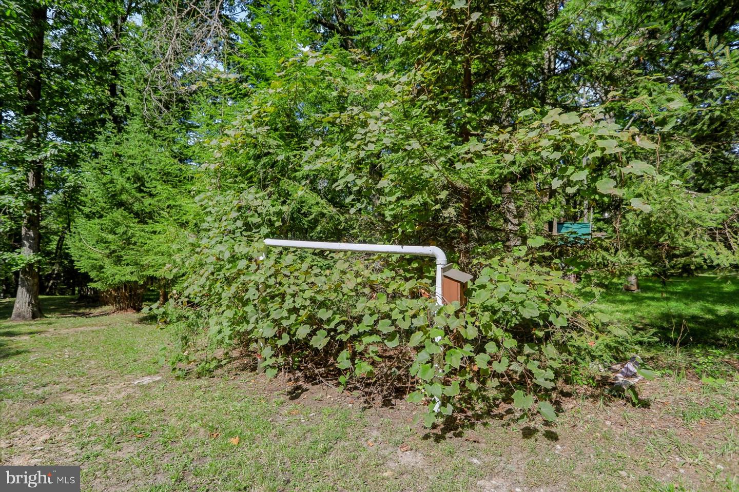 115 Summit Rd Property Photo 34