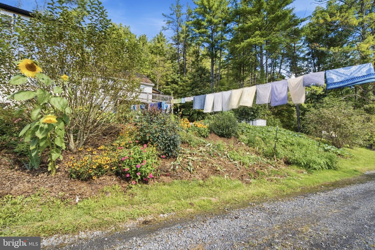 117 Bartley Ln Property Photo 10