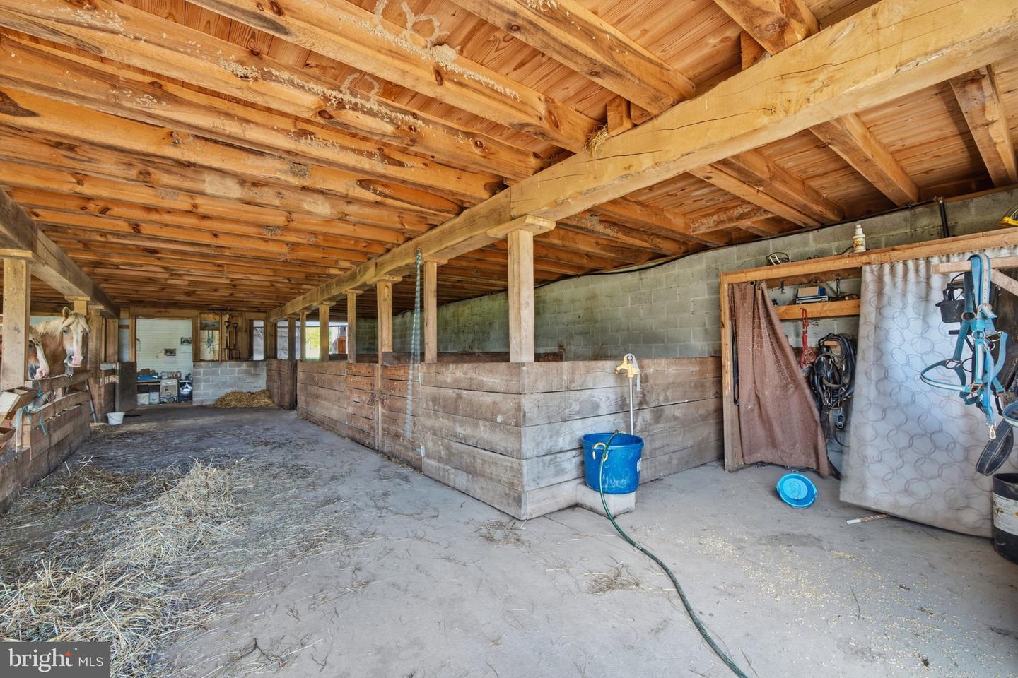 117 Bartley Ln Property Photo 15