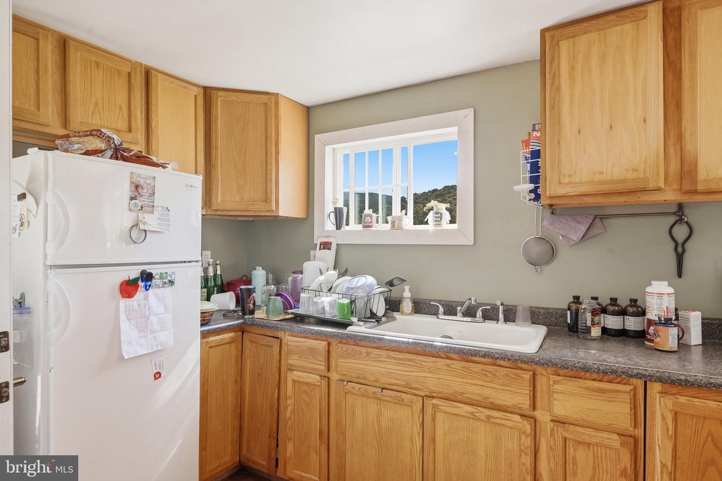 117 Bartley Ln Property Photo 46