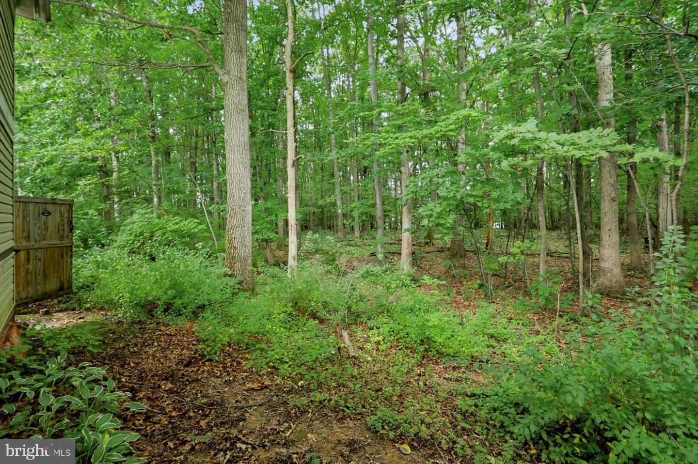 371 Oakwood Ave Property Photo 40