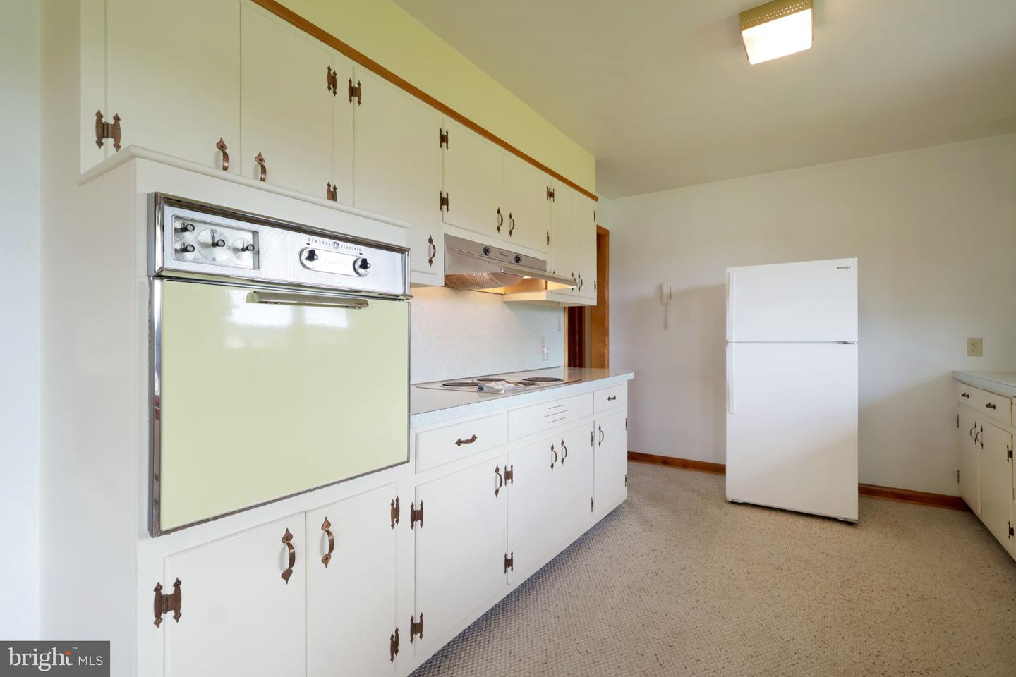 1185 Centre St Property Photo 15