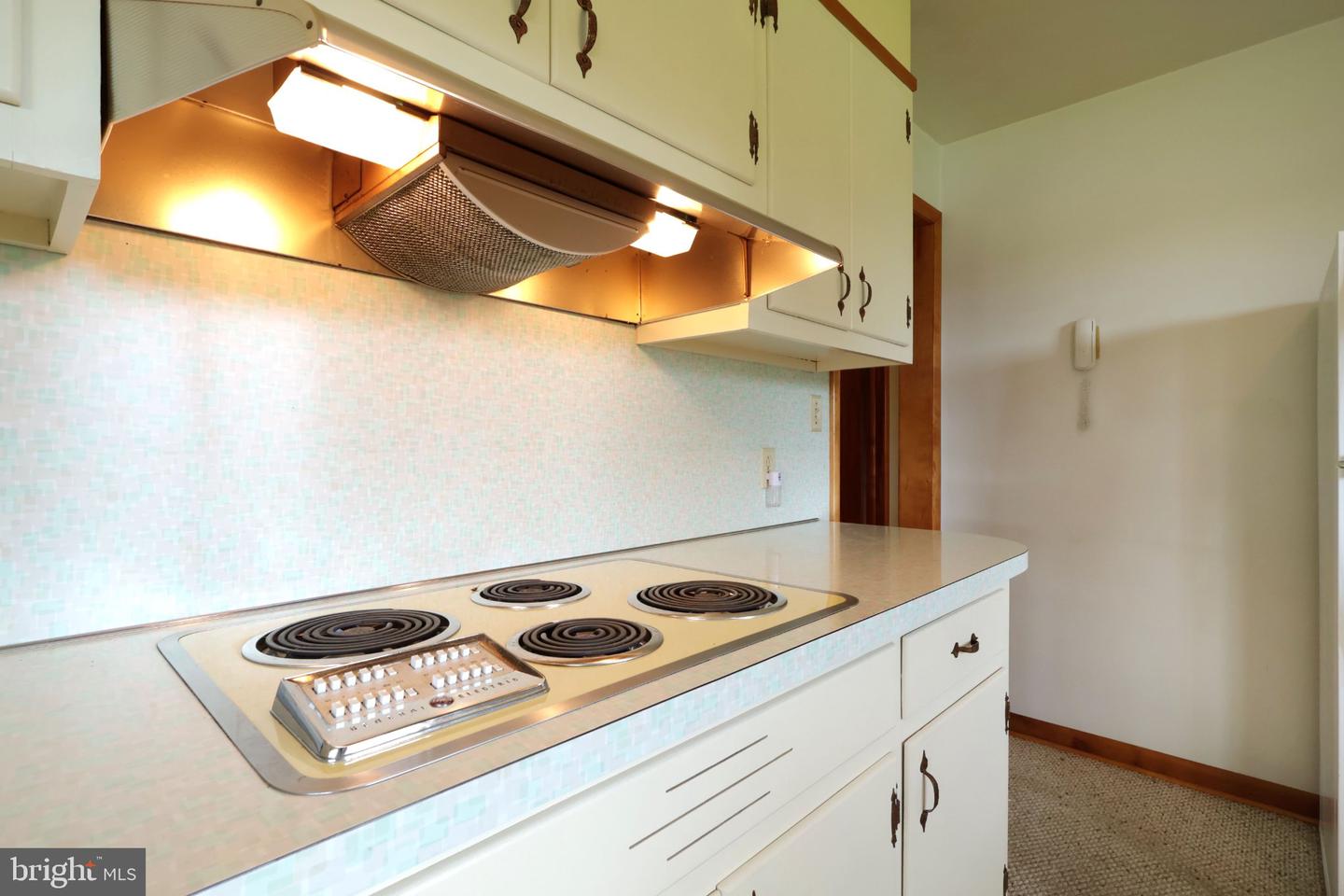 1185 Centre St Property Photo 16