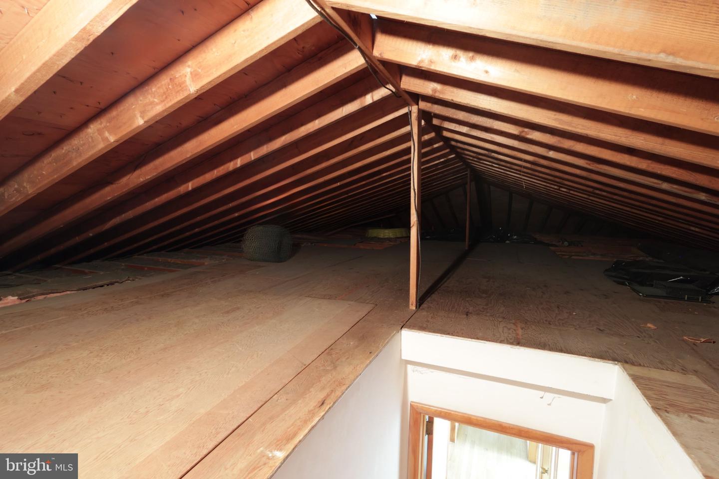 1185 Centre St Property Photo 33