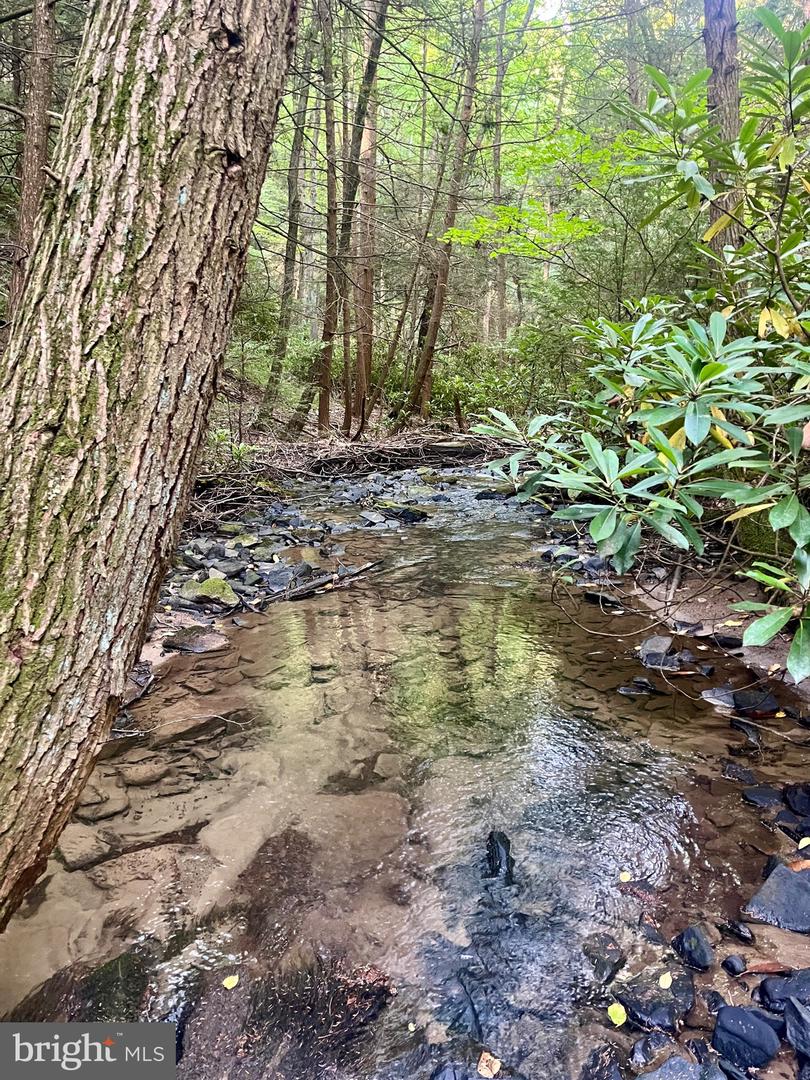 22 Beech Creek Mountain Rd Property Photo