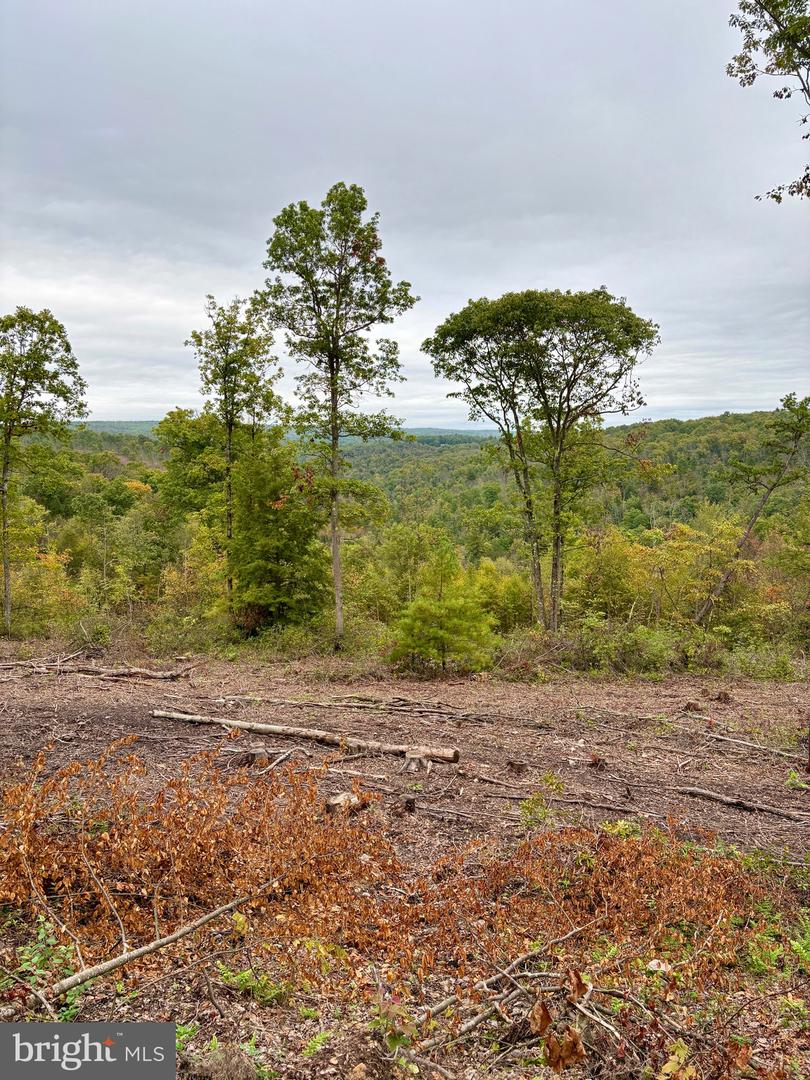 35 & 36 Beech Creek Mountain Rd Property Photo
