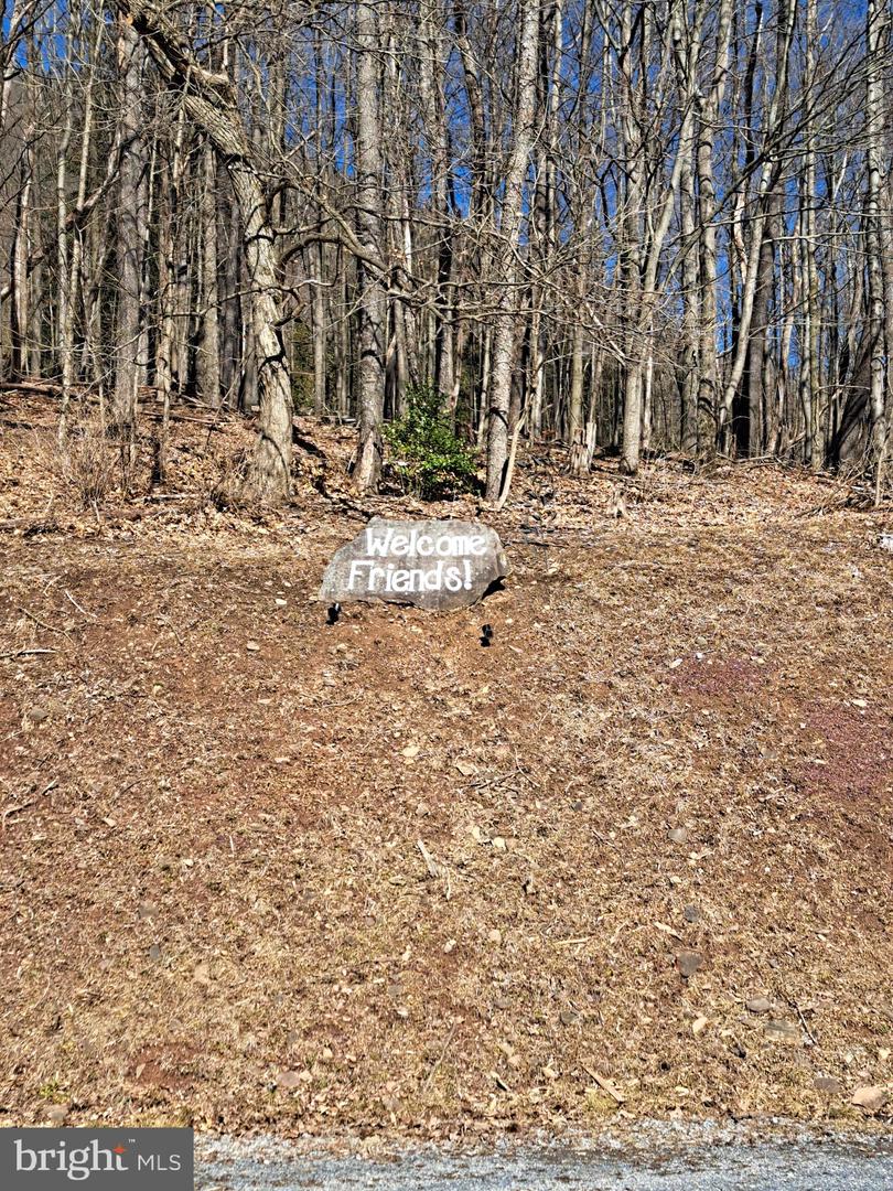 12700 Renovo Rd Property Photo 45
