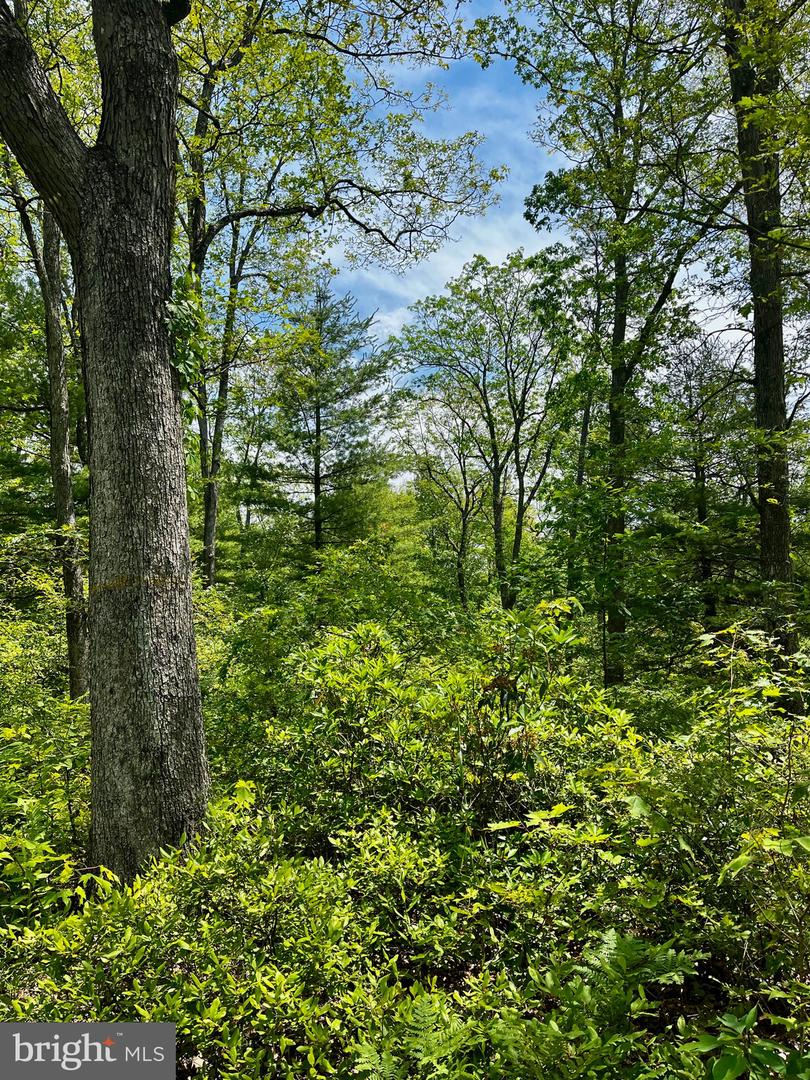16 Beech Creek Mountain Rd Property Photo 1
