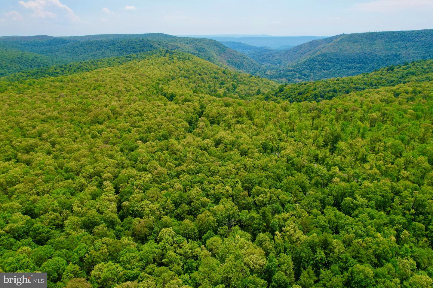 16 Beech Creek Mountain Rd Property Photo 2