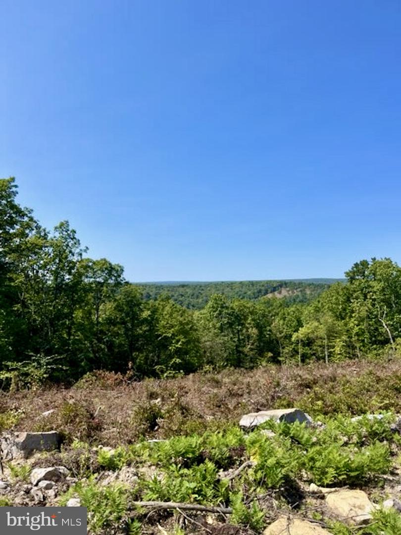 16 Beech Creek Mountain Rd Property Photo 3