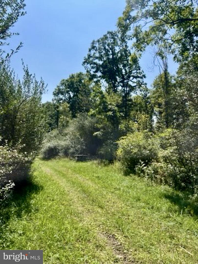 16 Beech Creek Mountain Rd Property Photo 4