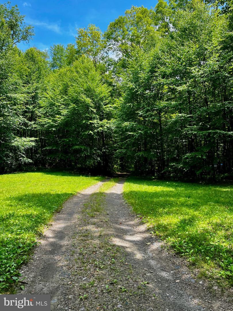 16 Beech Creek Mountain Rd Property Photo 5
