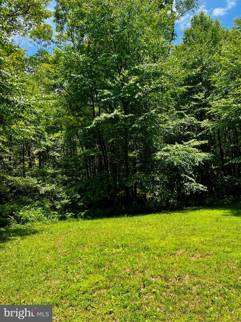 16 Beech Creek Mountain Rd Property Photo 6