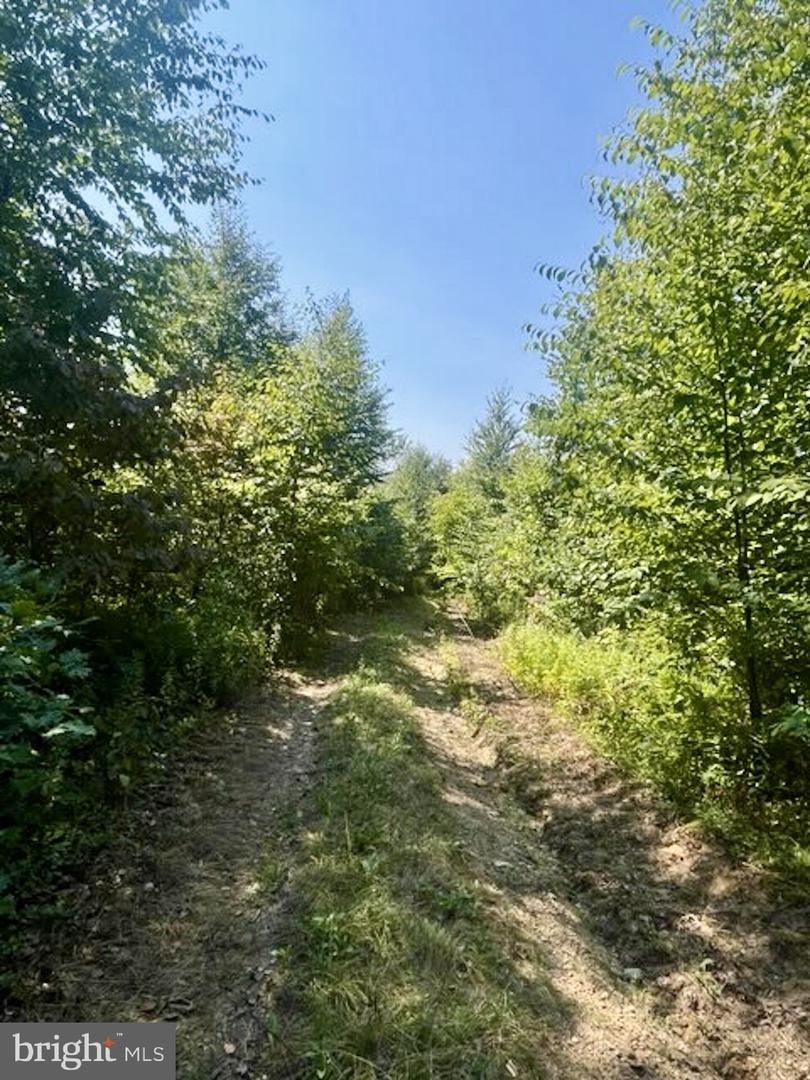 16 Beech Creek Mountain Rd Property Photo 9