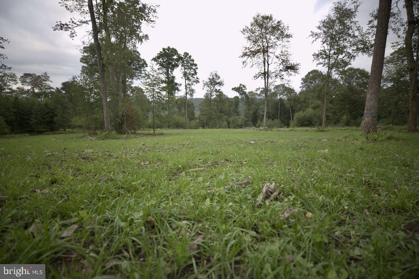 22 Beech Creek Mountain Rd Property Photo 22