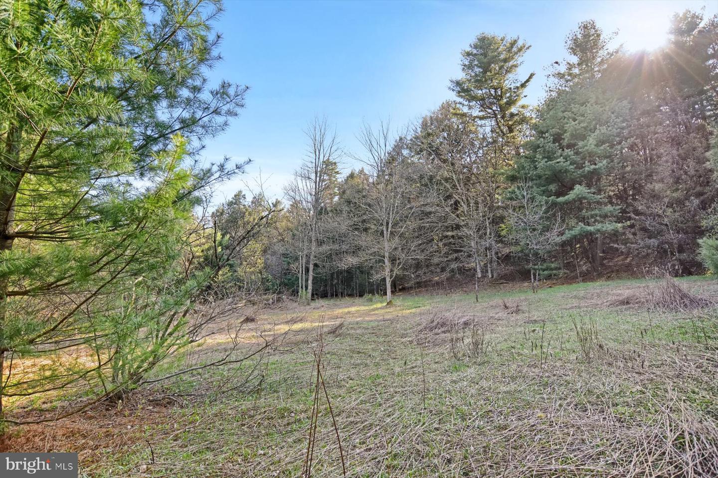 45 Laurel Ln Property Photo 36