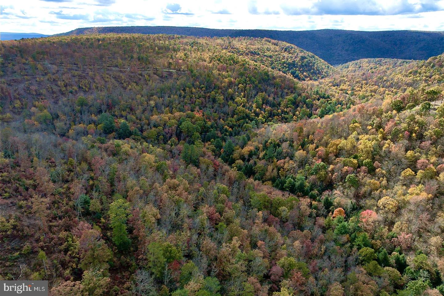 27 Beech Creek Mountain Rd Property Photo 2