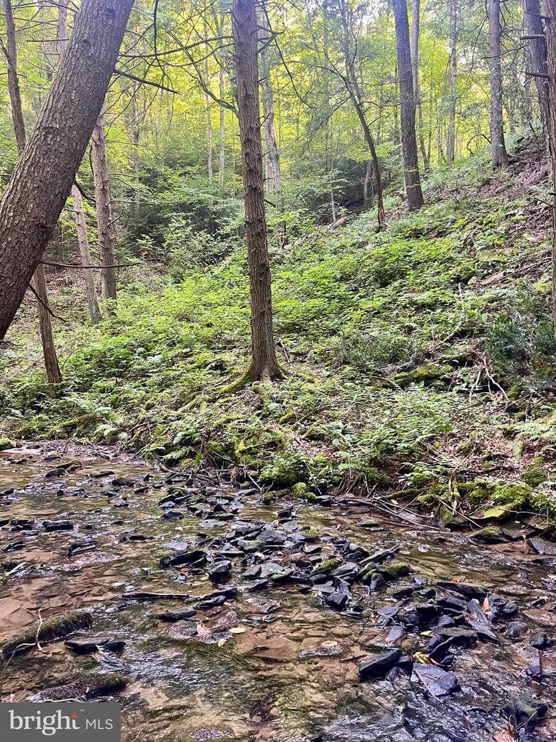 27 Beech Creek Mountain Rd Property Photo 5