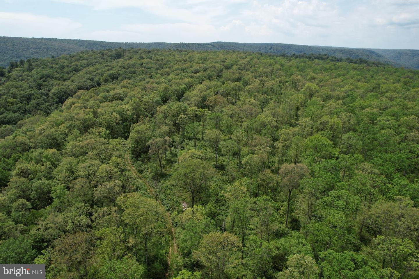 27 Beech Creek Mountain Rd Property Photo 6