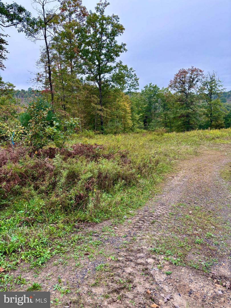 27 Beech Creek Mountain Rd Property Photo 14