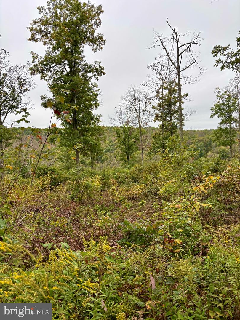 27 Beech Creek Mountain Rd Property Photo 15
