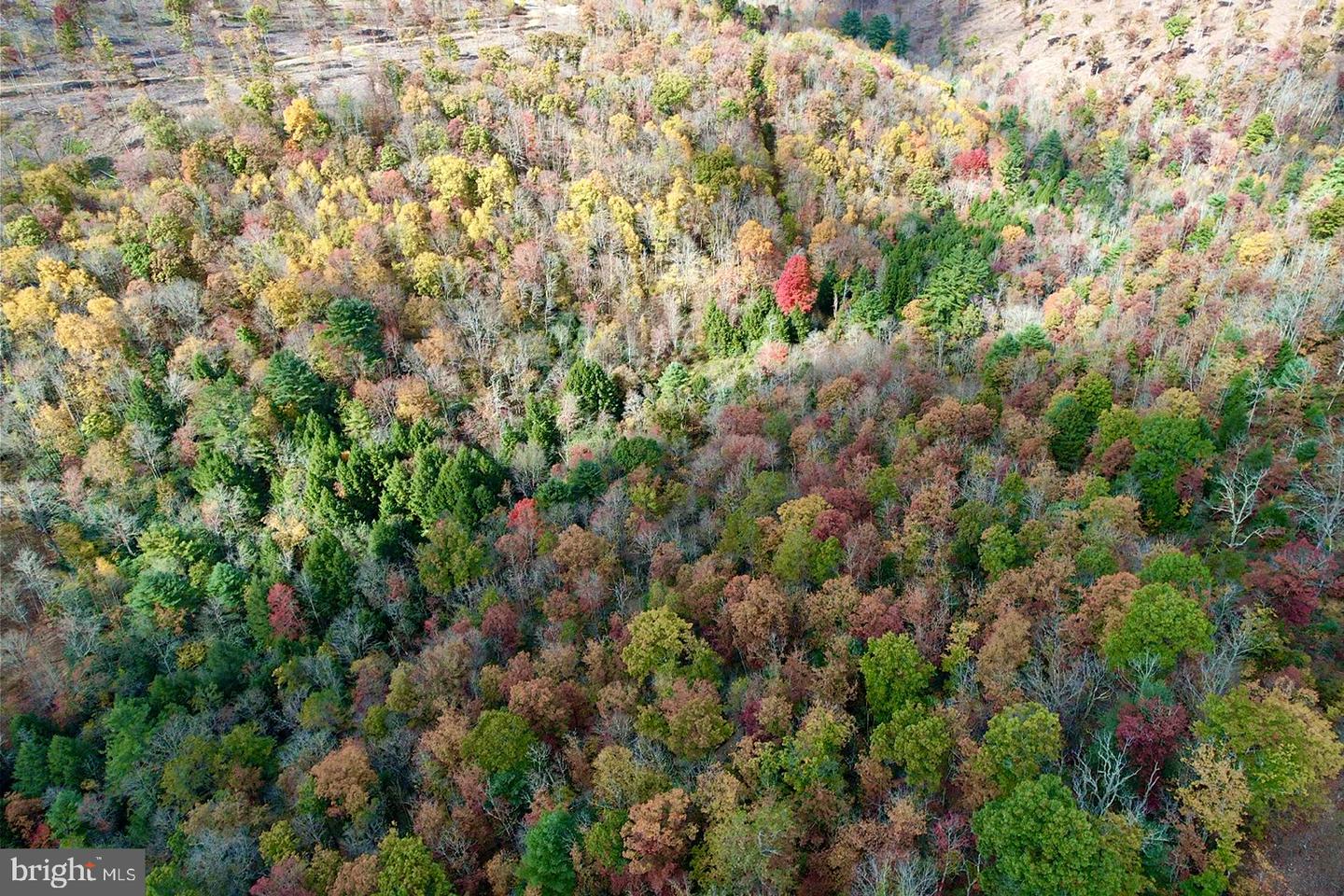 27 Beech Creek Mountain Rd Property Photo 16