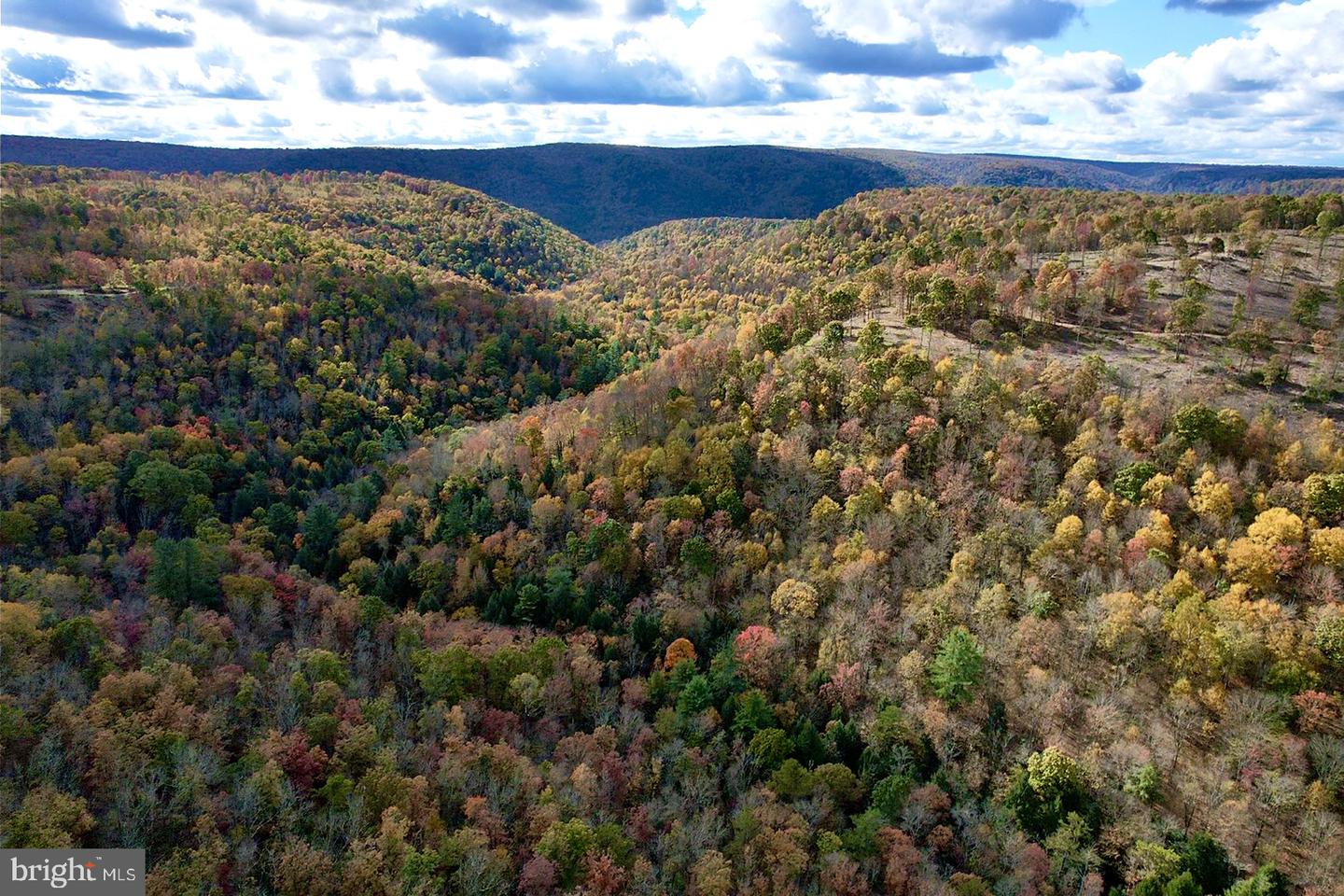 27 Beech Creek Mountain Rd Property Photo 17