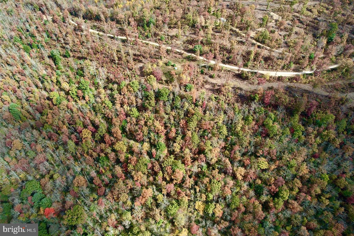 27 Beech Creek Mountain Rd Property Photo 19