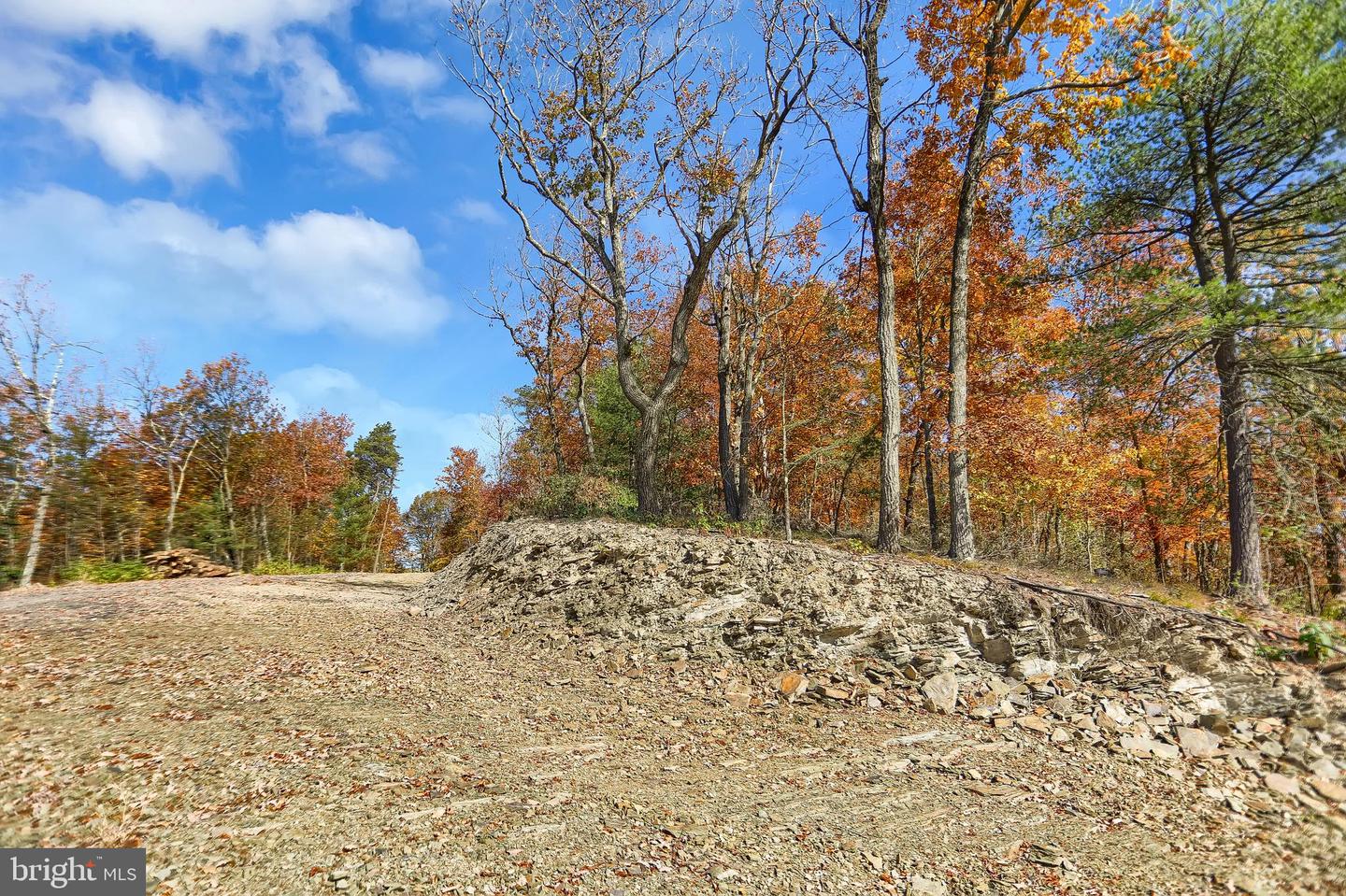 0 Route 150 Property Photo 3