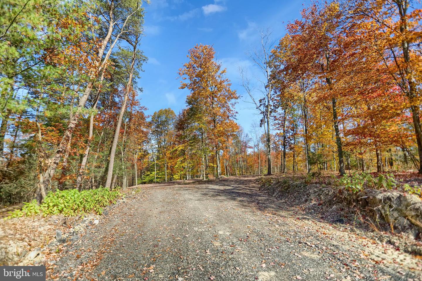 0 Route 150 Property Photo 5