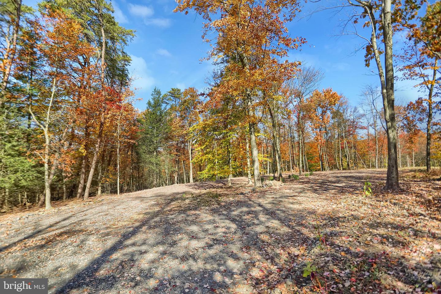 0 Route 150 Property Photo 6