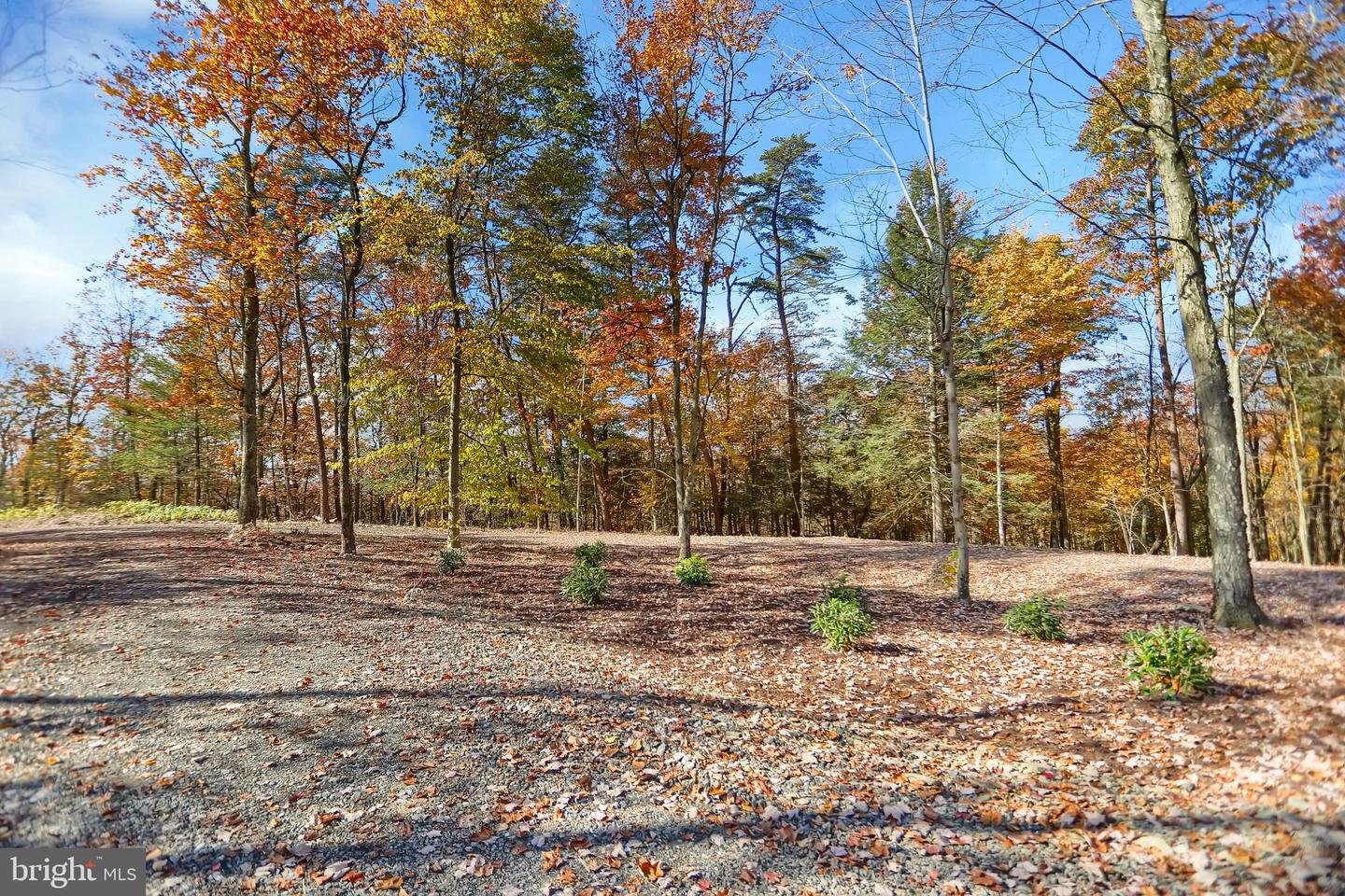 0 Route 150 Property Photo 7