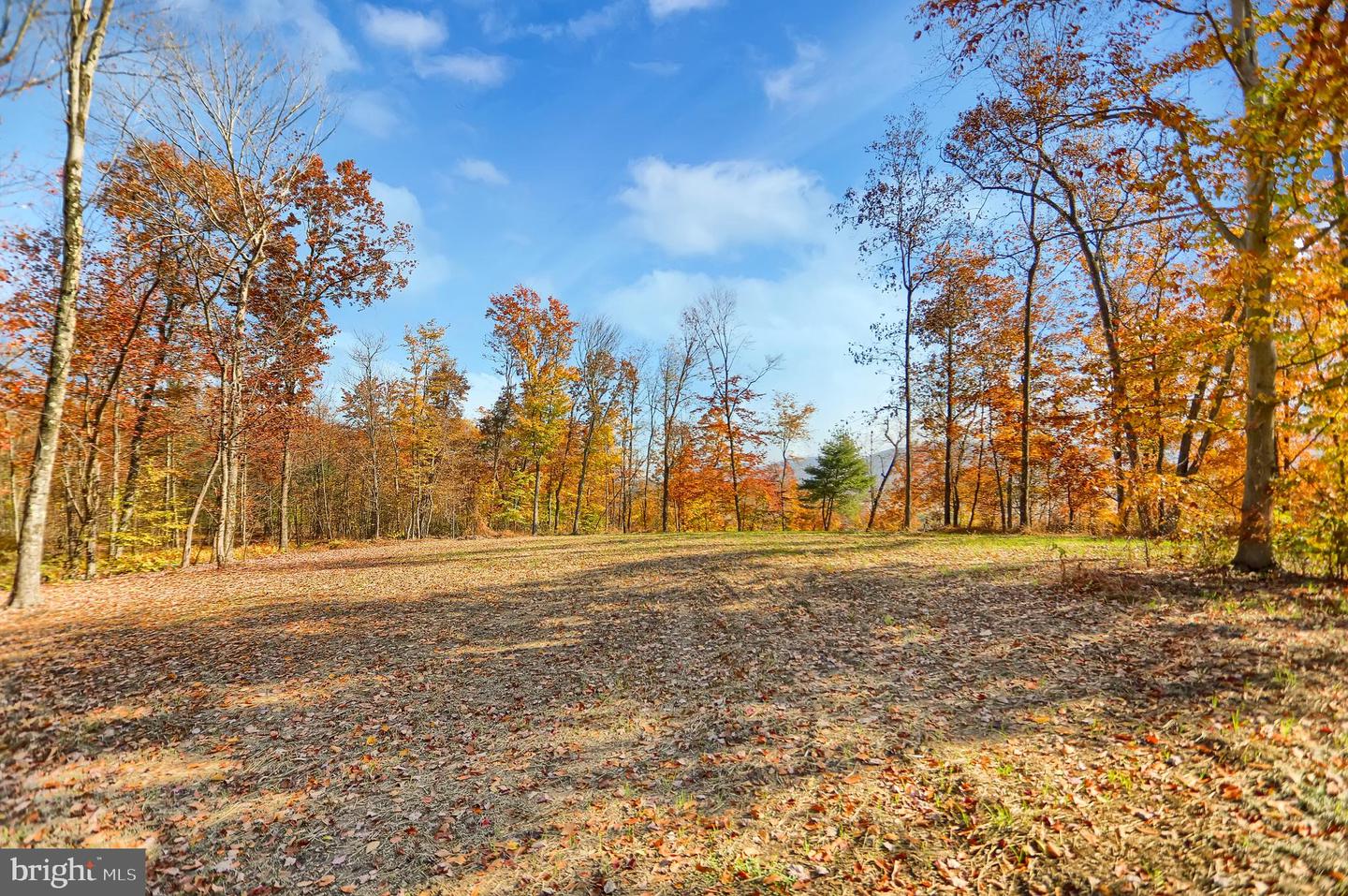 0 Route 150 Property Photo 8