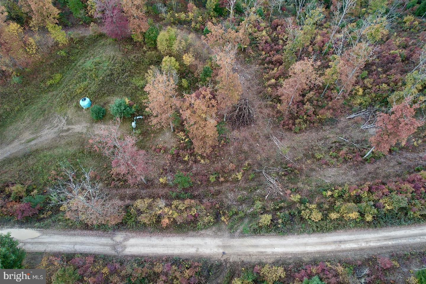 2600 Beech Creek Mountain Rd Property Photo 14