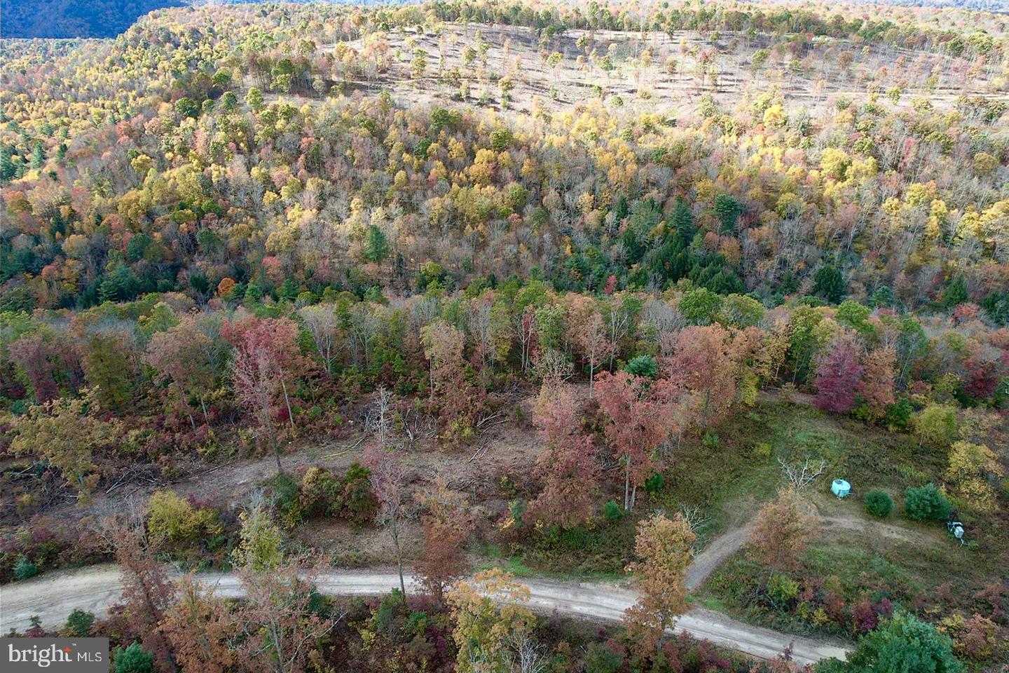 2600 Beech Creek Mountain Rd Property Photo 16