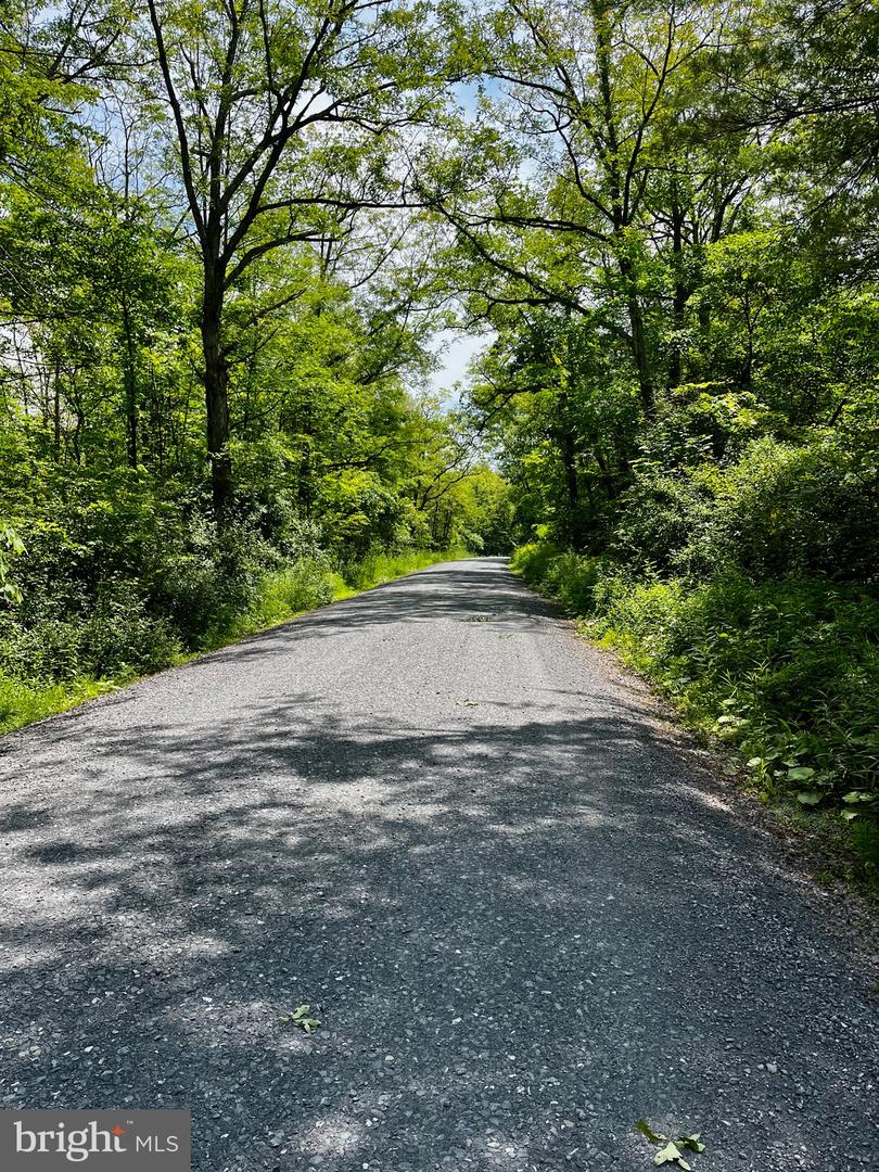 10 Beech Creek Mountain Rd Property Photo 3