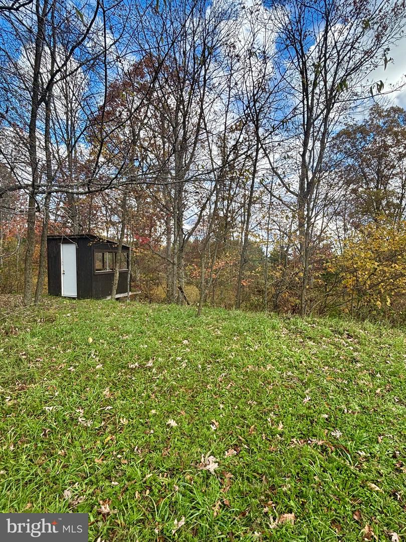 10 Beech Creek Mountain Rd Property Photo 5