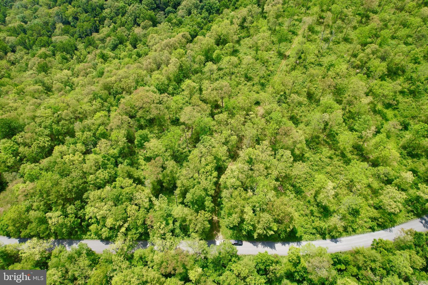 10 Beech Creek Mountain Rd Property Photo 9