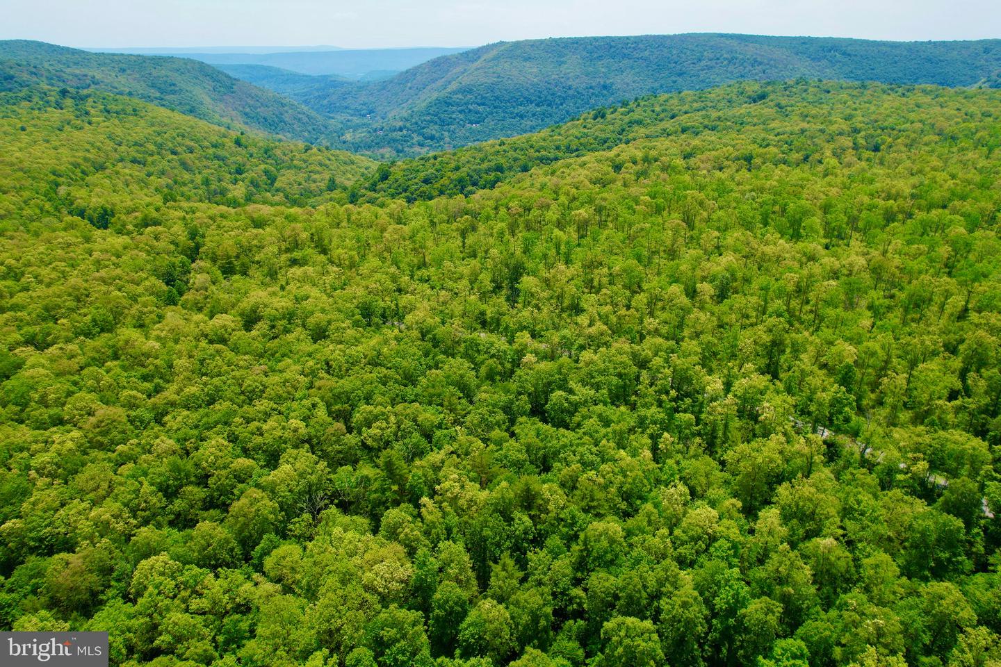 10 Beech Creek Mountain Rd Property Photo 12
