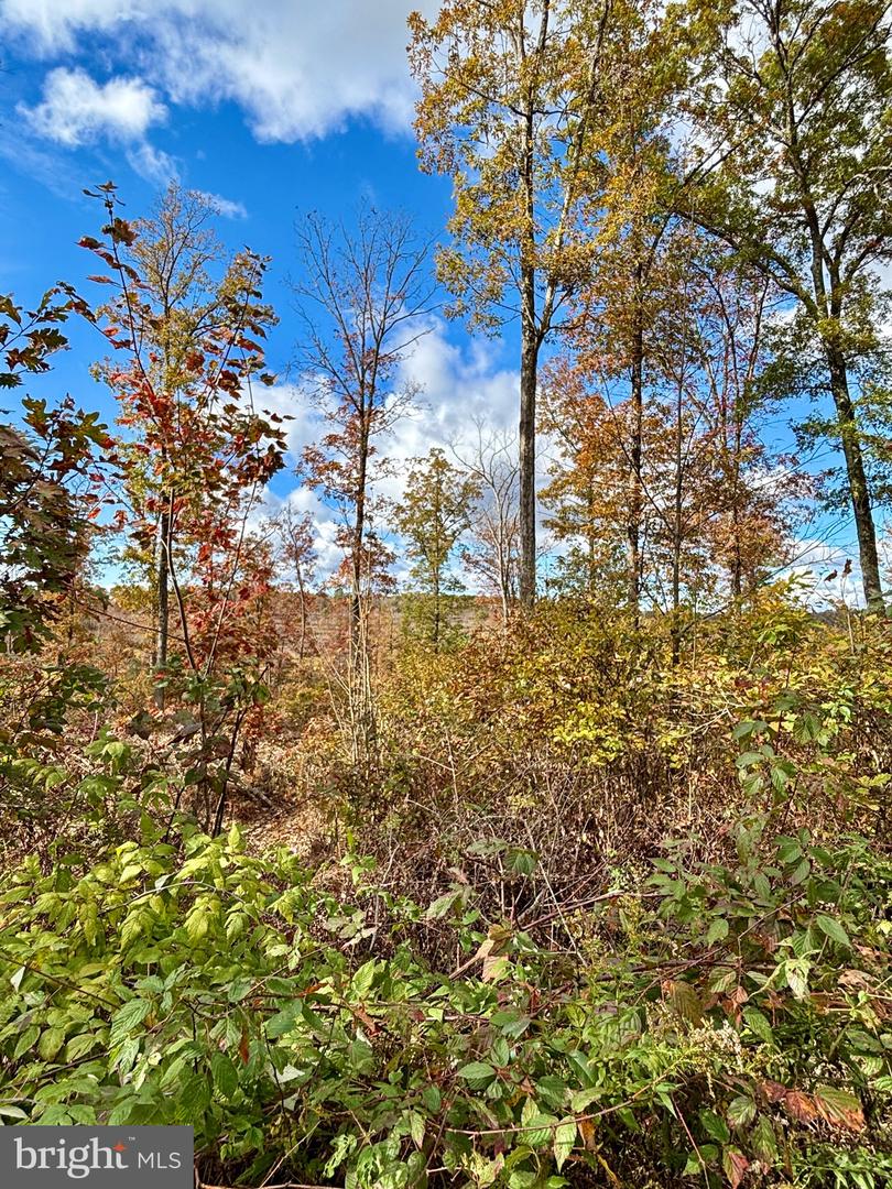 10 Beech Creek Mountain Rd Property Photo 13