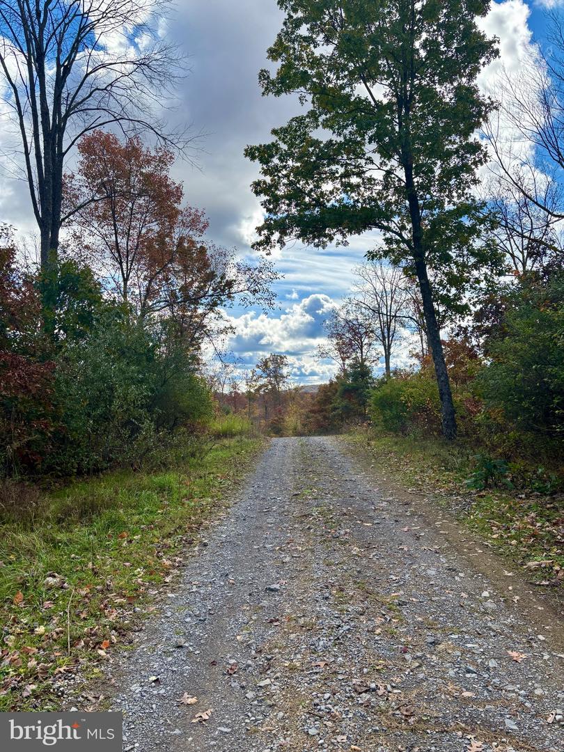 10 Beech Creek Mountain Rd Property Photo 14