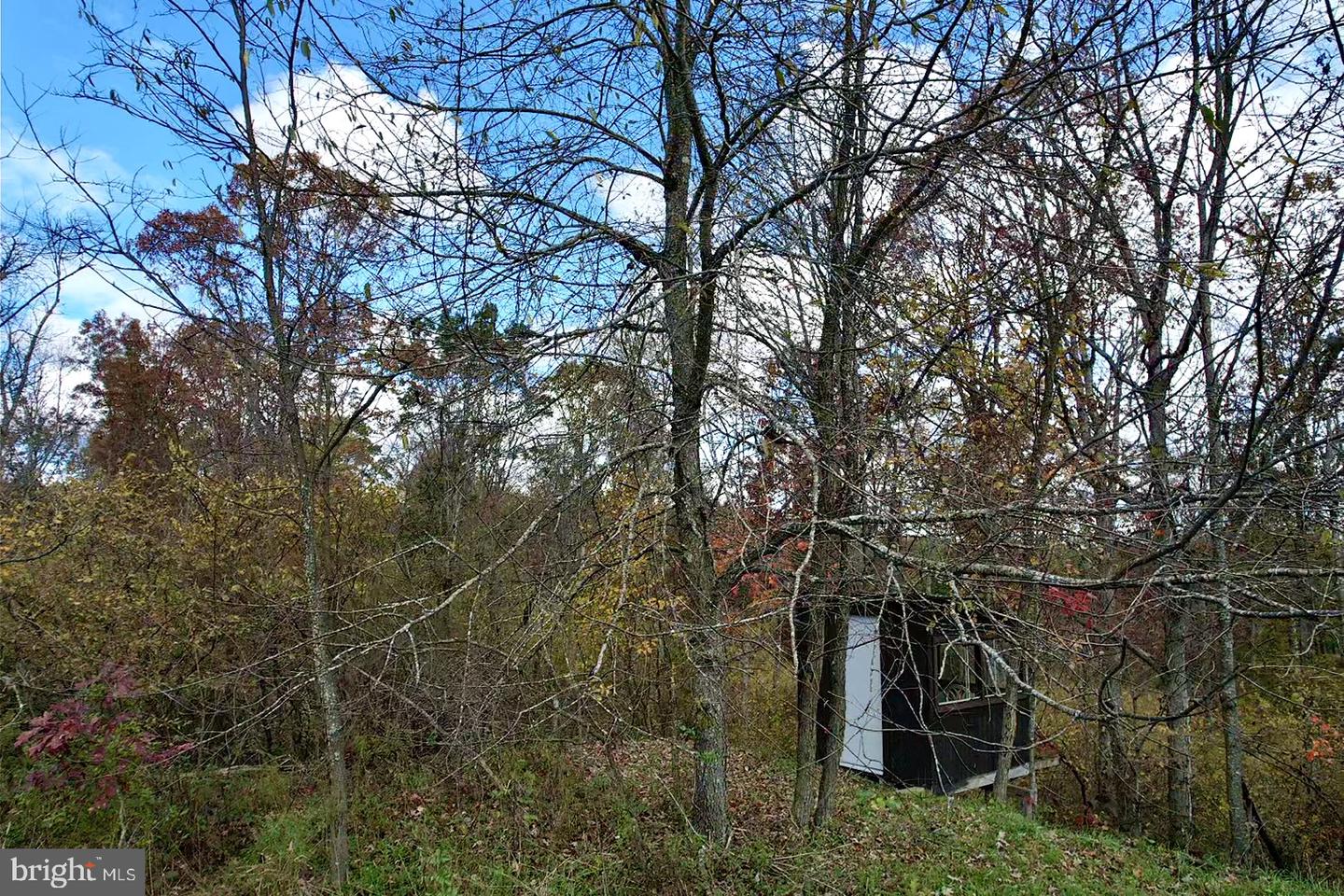 10 Beech Creek Mountain Rd Property Photo 15