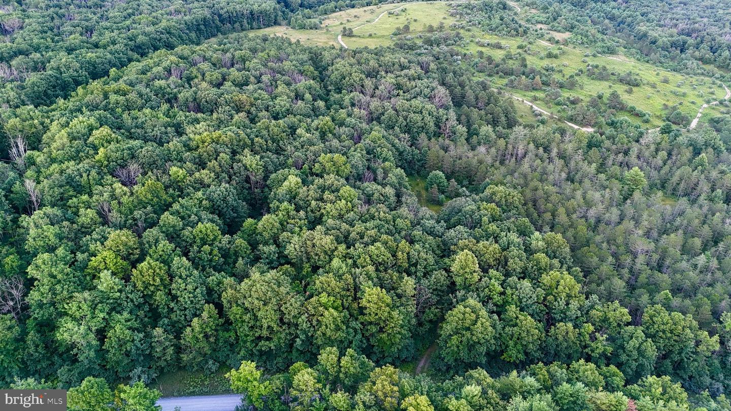 10 Beech Creek Mountain Rd Property Photo 16