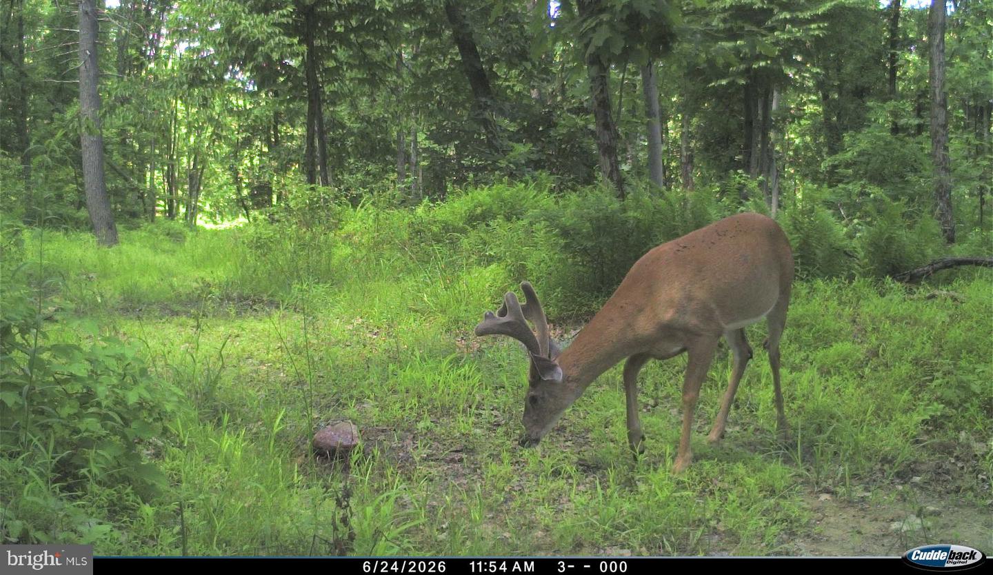 Phoenix Ln Property Photo 25